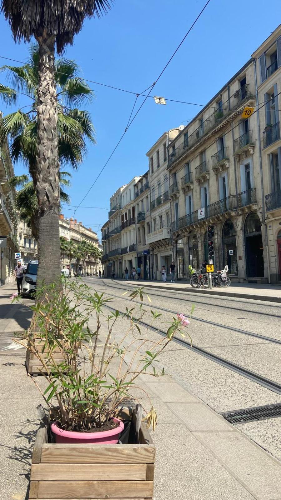 Renaissance Apartment Montpellier Exterior photo